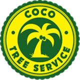 CocoTreeServices